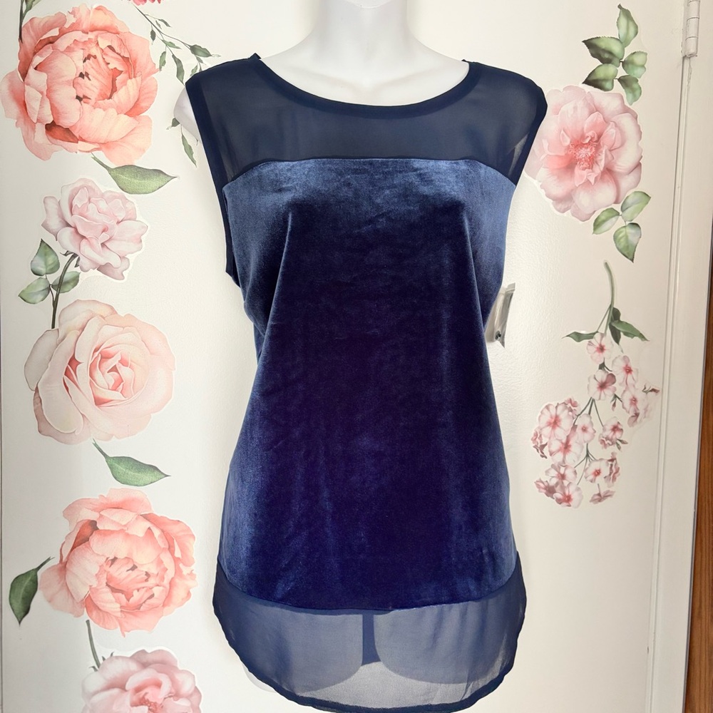 Chic Navy Velvet Sheer Top